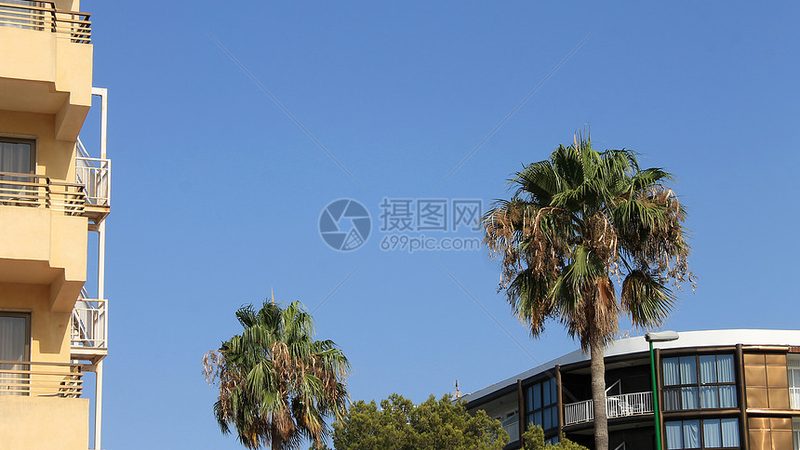 东莞市酒店有限公司